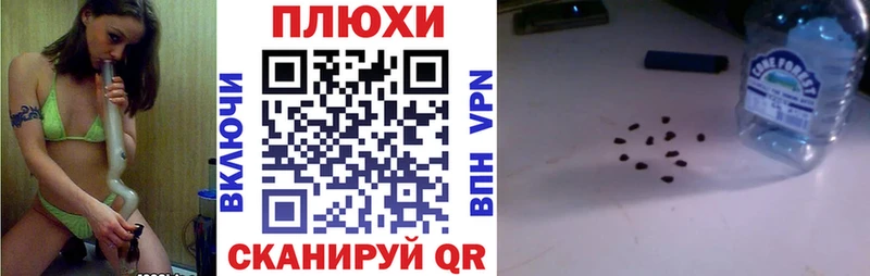 Купить где  Луховицы  ГАШИШ индика сатива 
