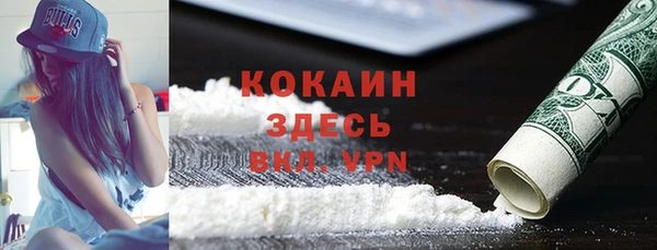 тгк Каменногорск