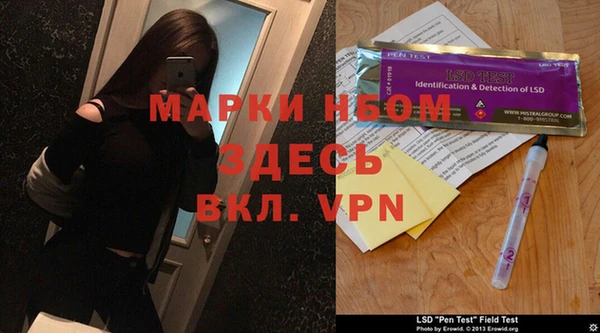 ПСИЛОЦИБИНОВЫЕ ГРИБЫ Каменка
