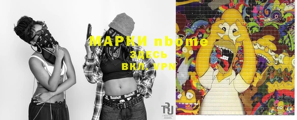 ПСИЛОЦИБИНОВЫЕ ГРИБЫ Каменка
